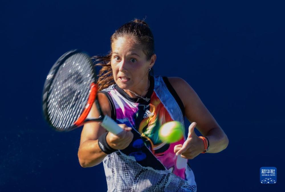 入主要来源 入主要来源