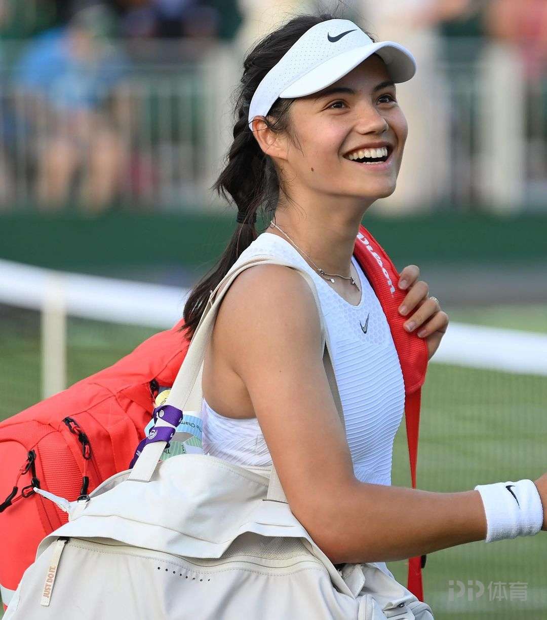 失去领袖将 失去领袖将