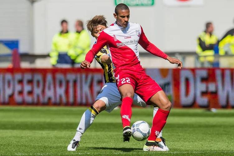 德国海洛羽 德国海洛羽