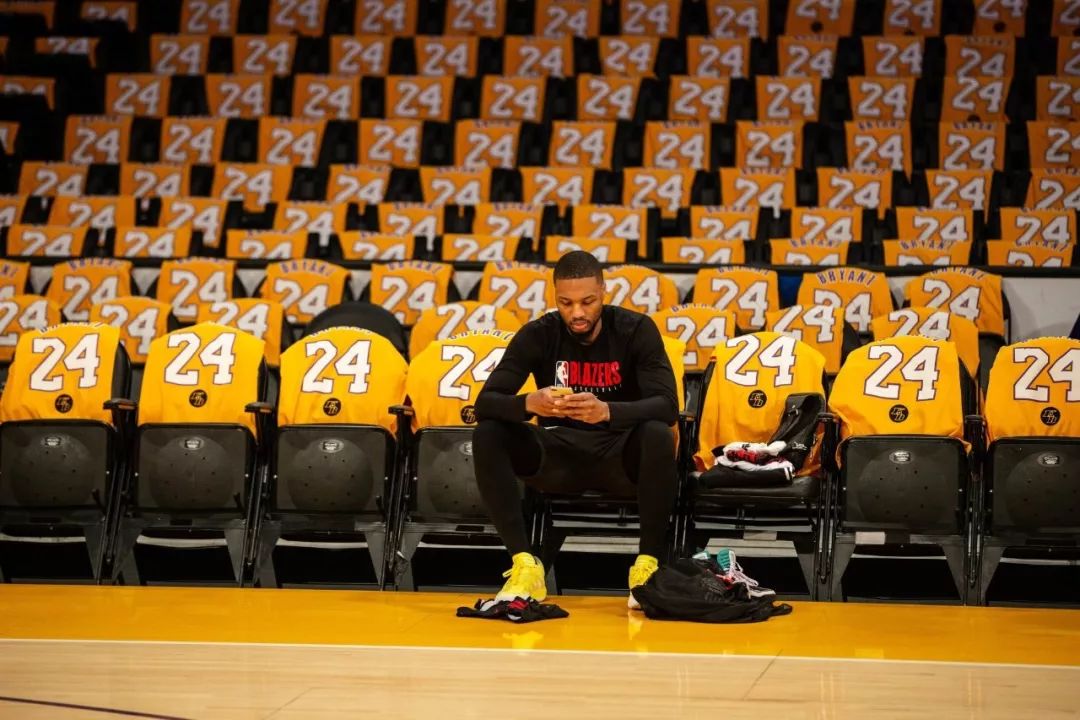 的鲜明注脚 的鲜明注脚