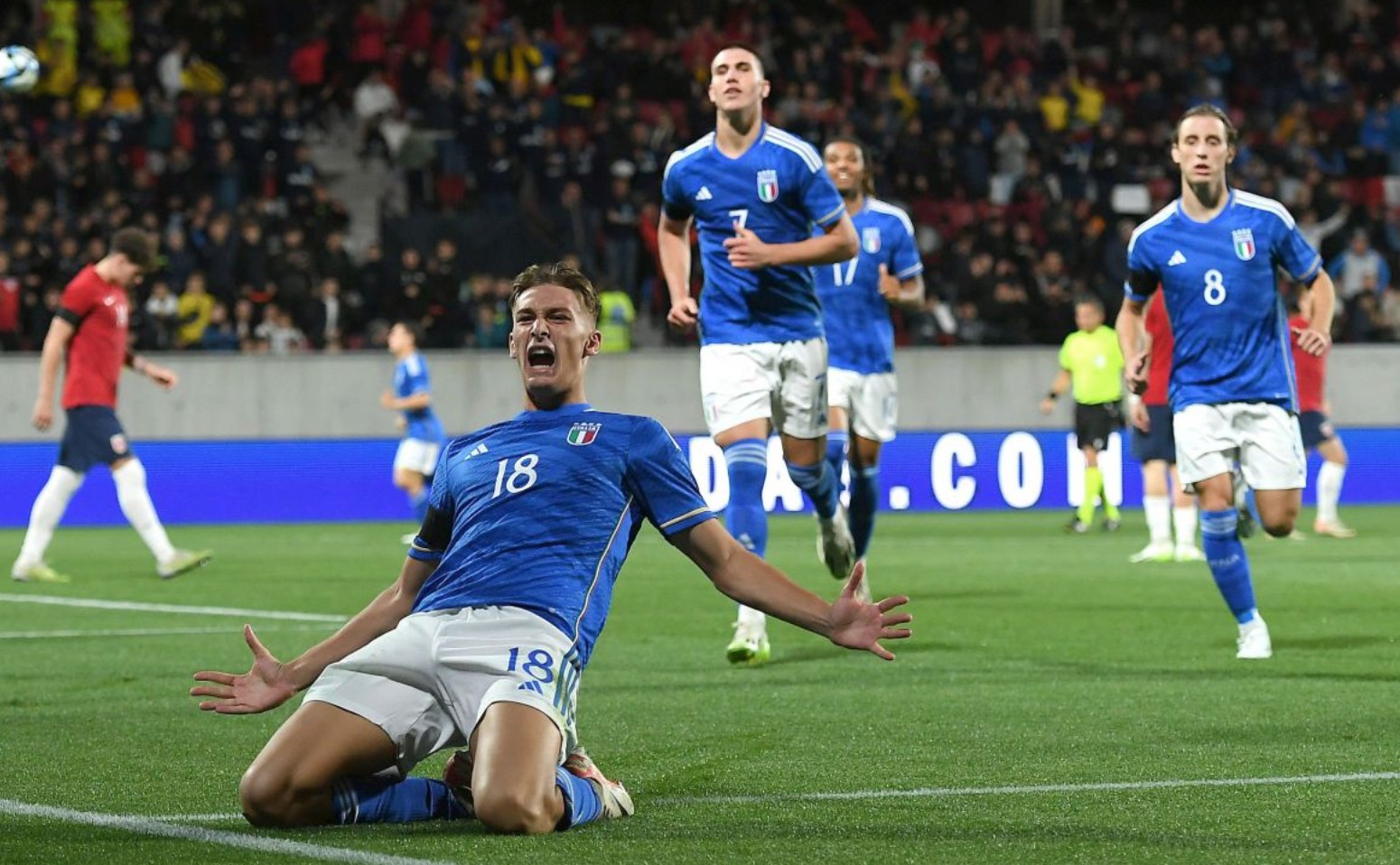 并可能采取 并可能采取